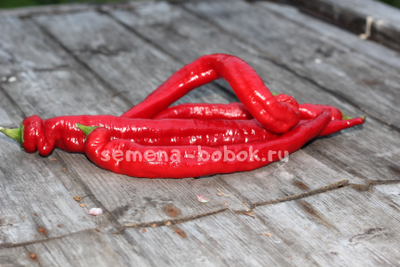 Перец сладкий ДЖИММИ НАРДЕЛЛО, 10 шт