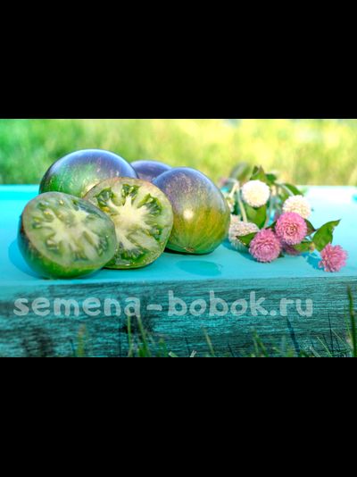 Томат Звездный истребитель VT16, 10 шт