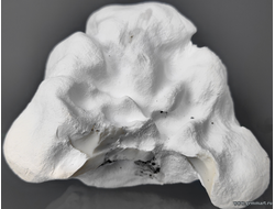 Кахолонг с корочкой кенияита. Южный Урал. Россия. 100*95*50мм