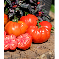 Томат Reduci (Ветеран), 10 шт