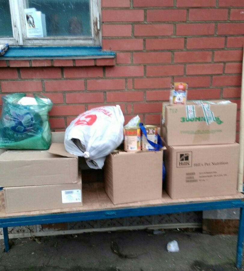 СПАСИБО ВОЛОНТЕРАМ ЗА ПОМОЩЬ ЖИВОТНЫМ