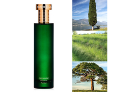 Hermetica Cedarise
