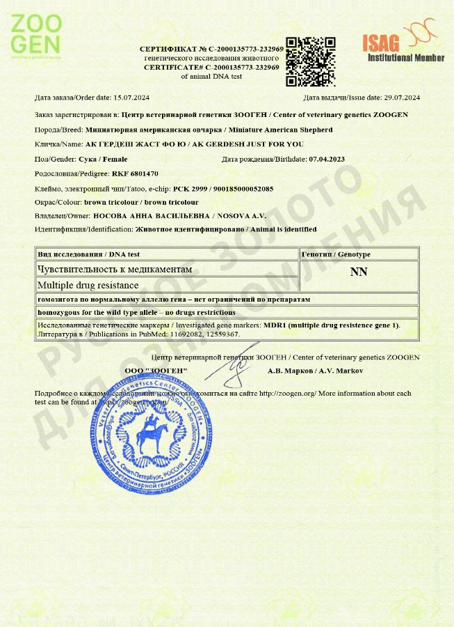Юта. Результаты анализов на генетические заболевания.