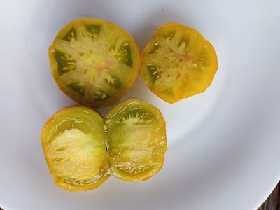 Томат Гном Эми из Огайо (Dwarf Amy’s Ohio)