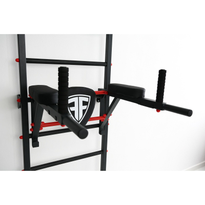 Шведская стенка Ferrum Force FR5 купить в Воронеже