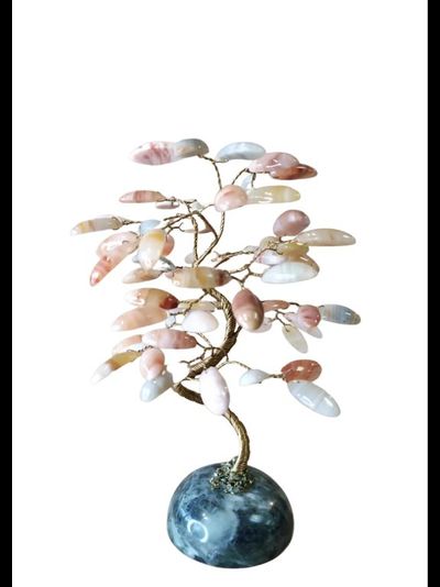 Агатовое дерево