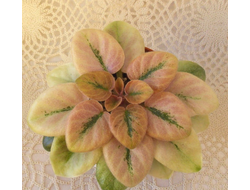 142) АВ- Веселые Мелодии (мини) (цвет)