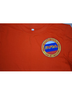 Футболка с логотипом (нанесение и шеврон)