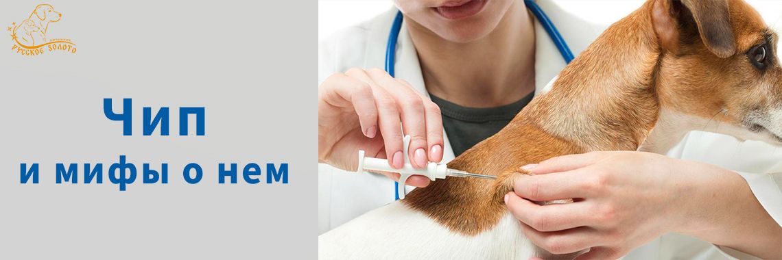 Статья - Чипирование и мифы о нем