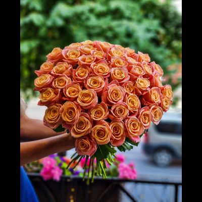 Роза Россия "Мисс пигги" 40 см 51 шт