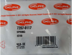 DELPHI 7207-0117 Пружина (комплект 10 шт.)