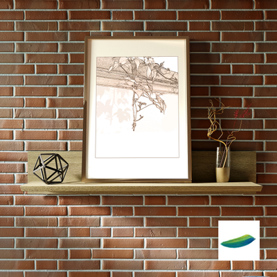 Постер  «Ветка дикого винограда»