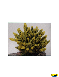 SH095GY Коралл пластиковый желто-зеленый 11,5*10*9см