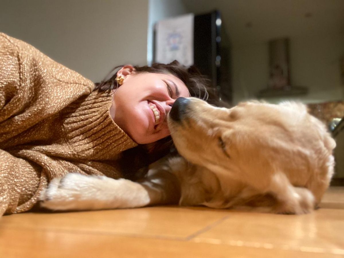 На фото щенок-выпускник нашего питомника - голден ретривер Русское Золото Леон Тим, 10 мес.