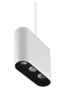 Люстра 8004/3P-WT-BK ELOI Lumien Hall