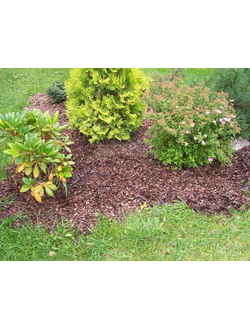 Кора лиственницы