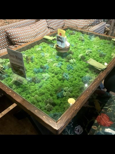 стол витрина из стабилизированного  мха