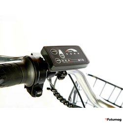 Электровелосипед трицикл РВЗ Чемпион (RVZ-HZ-01) красный