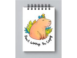 Блокнот Капибара, Kapibara-san №2