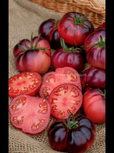 Томат Пленительный Аметист, 10 шт