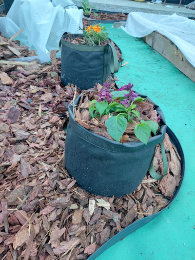 Кашпо мешок садовое 5 л. Умный тканевый горшок Гроубэг