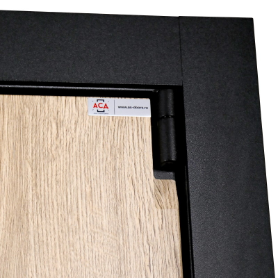 Стальная дверь   Sigma. Заказная модель.