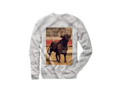 Свитшот с символикой "Быка" №1