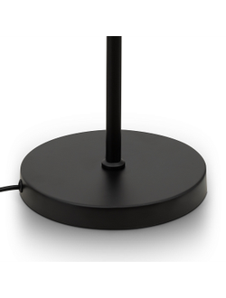 Freya, Напольный светильник (торшер) Evidence, FR5372FL-03B