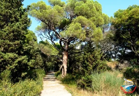 Парк в Массандре