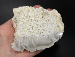 Халцедон виноградный, срез полированный, Россия, Северный Кавказ, КЧР, Усть-Джегутинский район (90*72*42 мм, 274 г) №27452