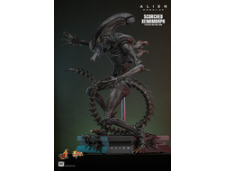 ПРЕДЗАКАЗ - Чужой (Ромул) - Коллекционная ФИГУРКА 1/6 Scorched Xenomorph Alien: Romulus (MMS784) - Hot toys ?ЦЕНА: 48600 РУБ.?