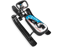 Продажа снегокатов Team Sport 3.0 (Black) в Иркутске по низким ценам