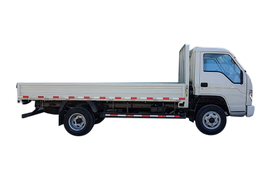 Пятитонник