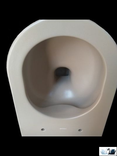 Чаша унитаза Creavit Free Cappucino FE322-11CM00E-0000, подвесная безободковая, бежевая, круглая форма, скрытый крепеж