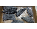 Кианит(ведьмина метла) 6-10 см 450-600 р