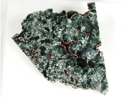 Клинохлор (серафинит), срез полированный с одной стороны, Россия, Иркутская область (48*38*10 мм, 13 г) №28402