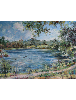 Пейзаж Утки на Лебедянском пруду Круглова Светлана