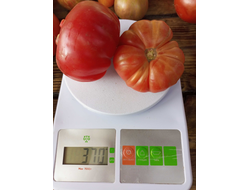 Томат Эль-Амар (El-Amar)