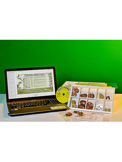 Коллекция натурально-интерактивная "Палеонтологическая"