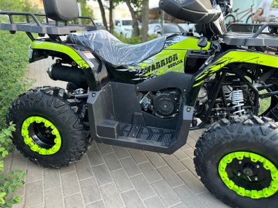 Квадроцикл TAO WARRIOR 200 Зеленый