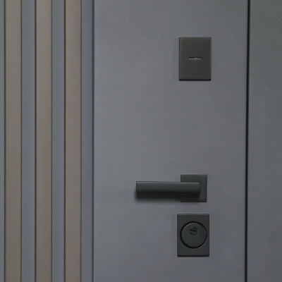 Стальная дверь   Winter (терморазрыв 3к). Заказная модель.