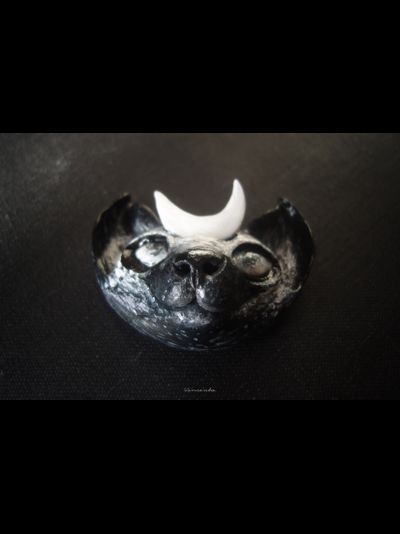 Необычная брошь в стиле фэнтези "Лунный котик - заклинатель звёзд"