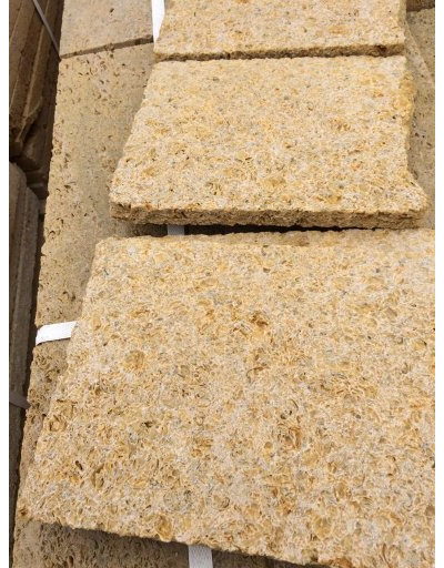 Ракушечник