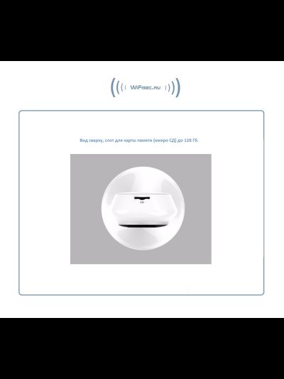 Видеоняня /WiFi IP видеокамера панорамная 180*110*  с DVR, Full HD (360EyeS)