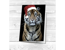 Обложка на паспорт год Тигра №6