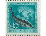 1959 год