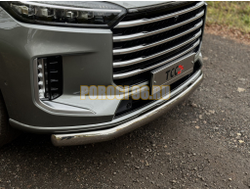 Защита передняя нижняя (овальная) 75х42 мм ТСС для Exeed VX 2023-