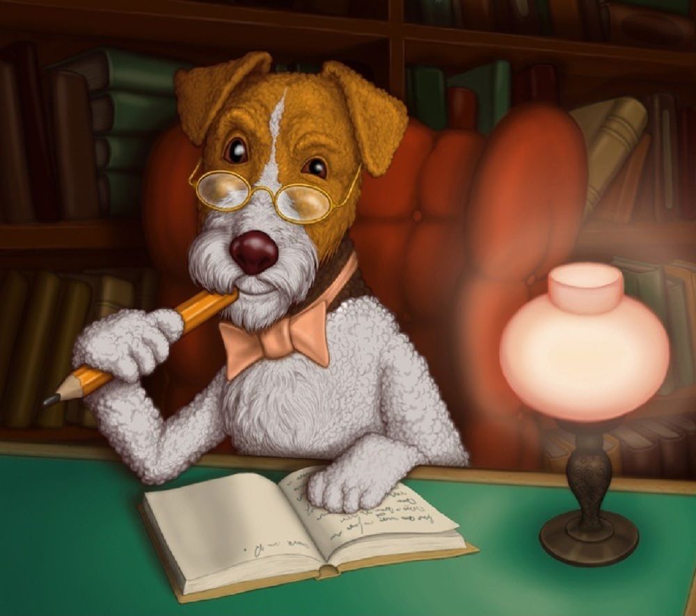 Доброго вечера собаки. Собака Фокс Микки. Дневник Фокса Микки. Книжный клуб картинки. Фокс Микки 1 глава