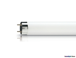 Лампы T8 1-полосный люминофор