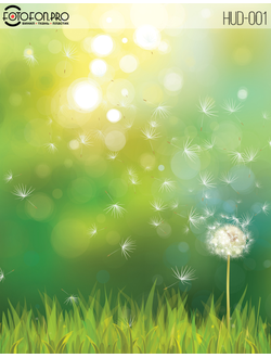 Фотофон виниловый «Свобода одуванчику»